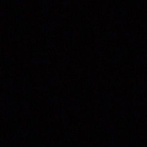 Meet your Posher, Rosa